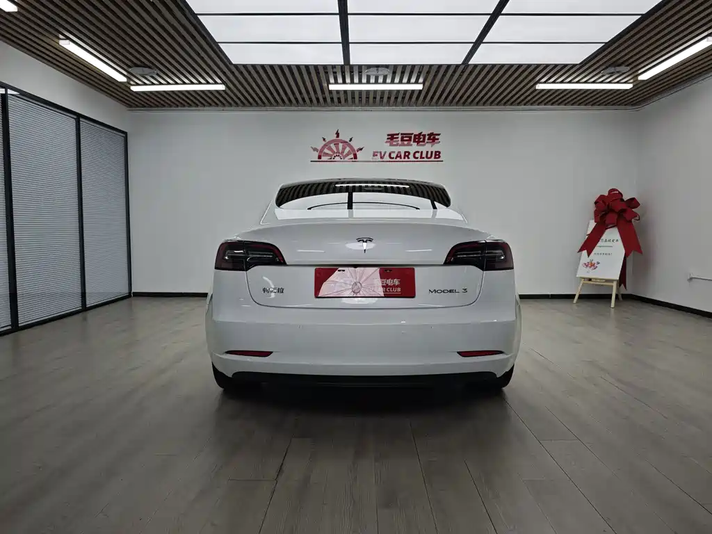 Tesla Model 3 — миниатюра 6