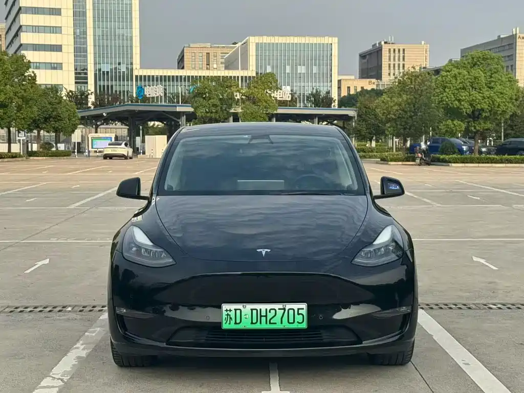 Tesla Model Y — миниатюра 2