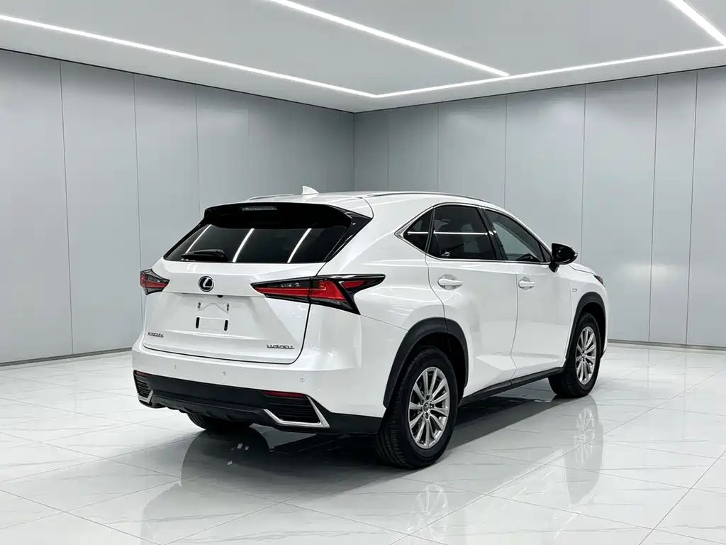 Lexus NX 2020 200 VI