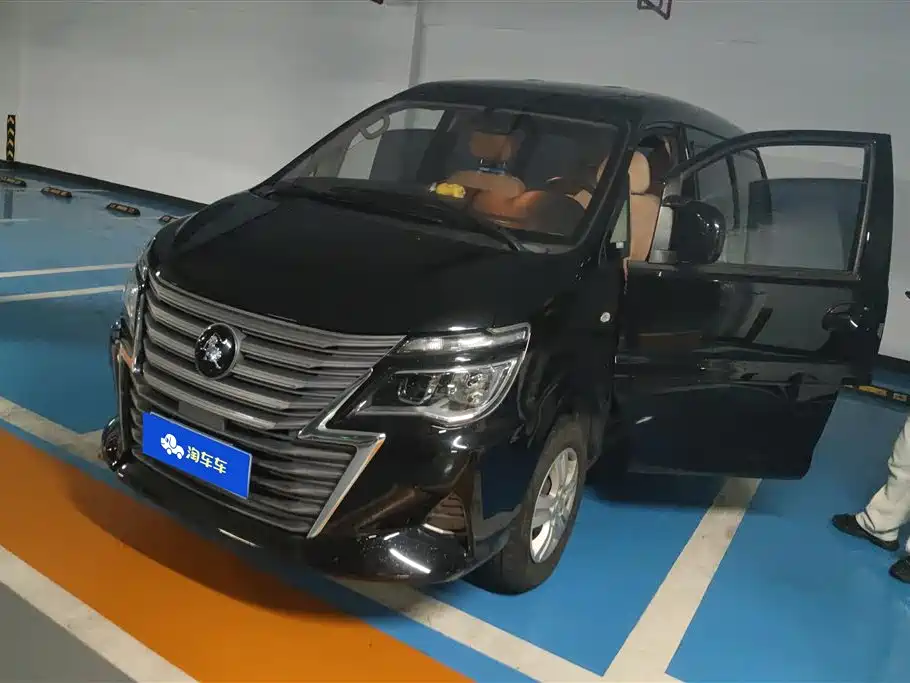 DONGFENG LINGZHI