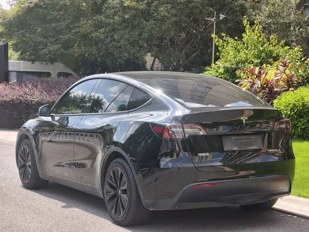 Tesla Model Y — миниатюра 5