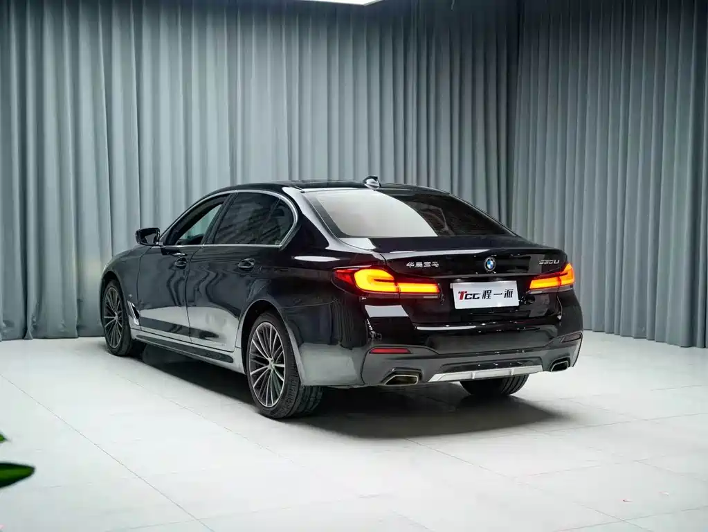 BMW 5 Series — миниатюра 10