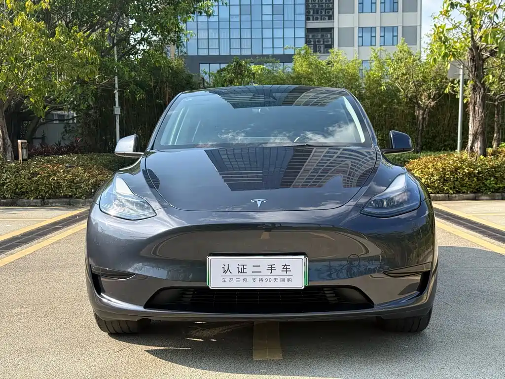 Tesla Model Y — миниатюра 2