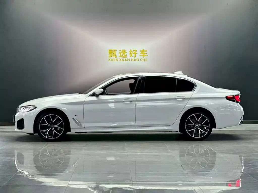 BMW 5 Series — миниатюра 8