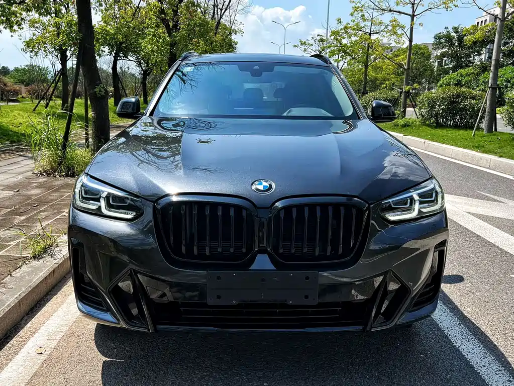 BMW X3 — миниатюра 2