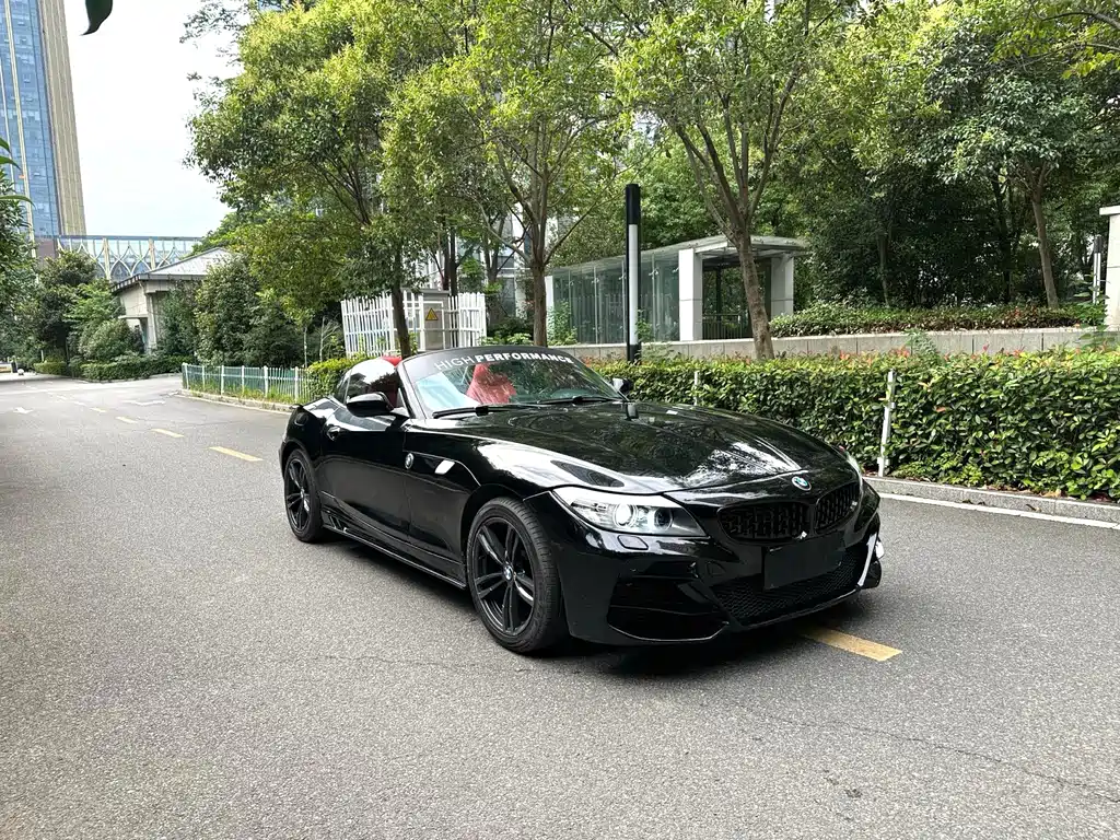 BMW Z4 2009 sDrive23i Lead