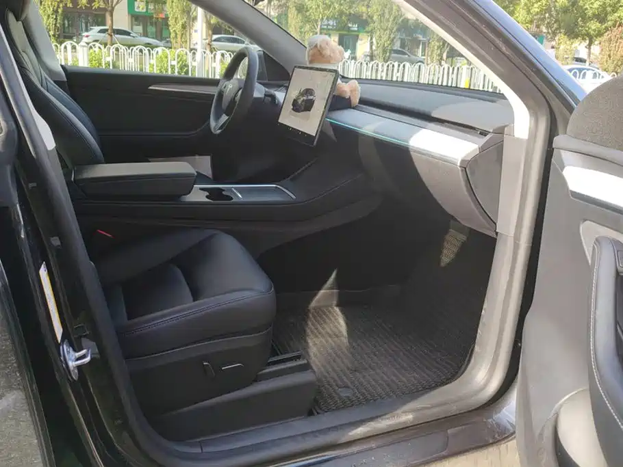 Tesla Model Y — миниатюра 8