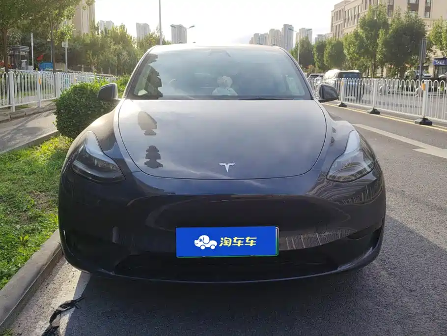 Tesla Model Y — миниатюра 2