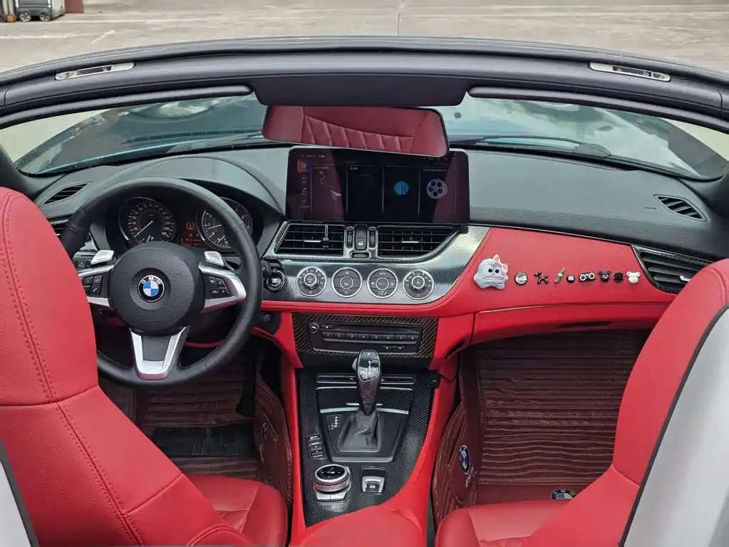 BMW Z4 2009 sDrive23i Lead