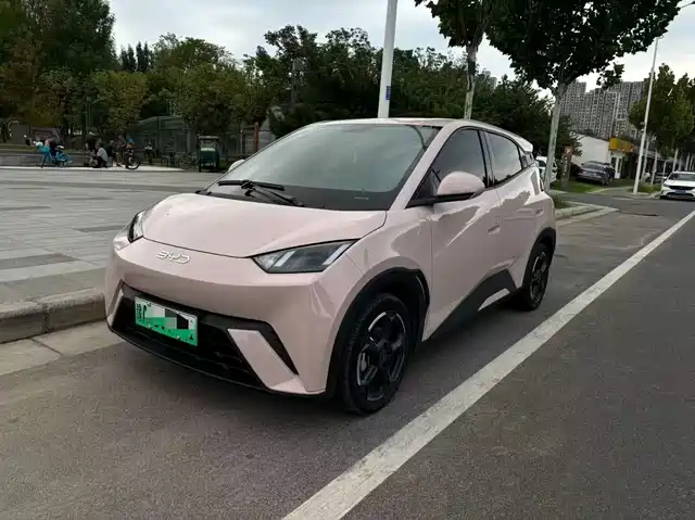 BYD SEAGULL 2024