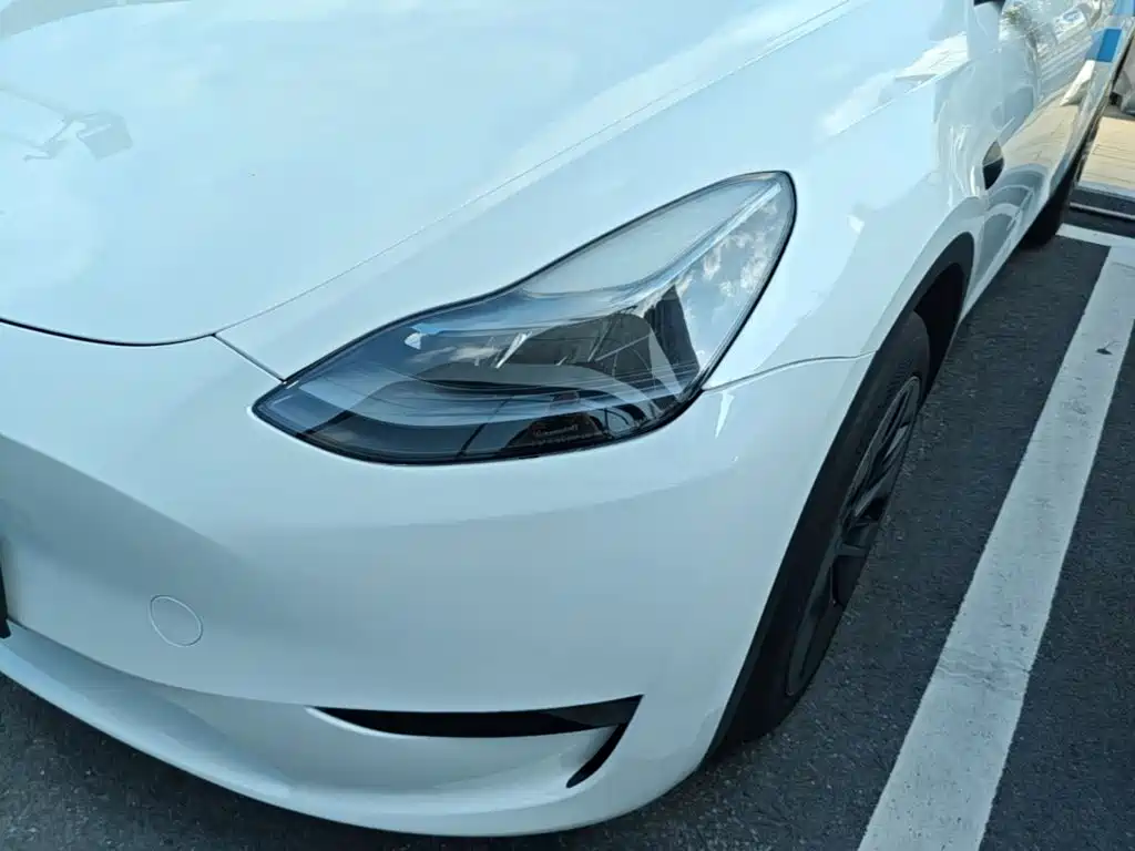 Tesla Model Y — миниатюра 24