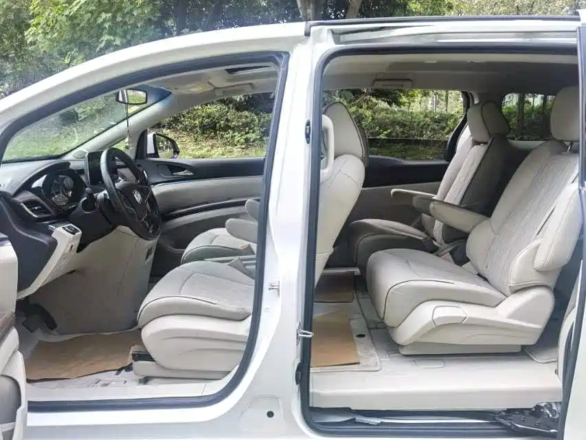 Buick GL8 — миниатюра 6