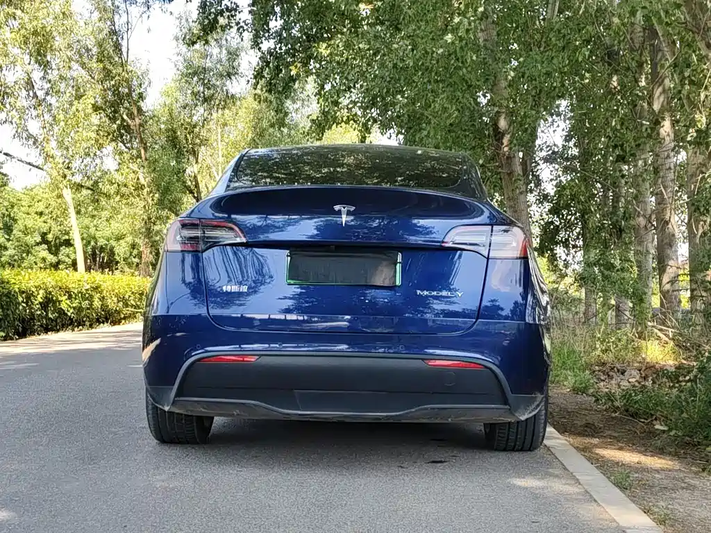 Tesla Model Y — фотографии объявления, Фото 19