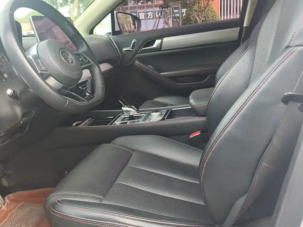 BYD Tang New Energy — миниатюра 8