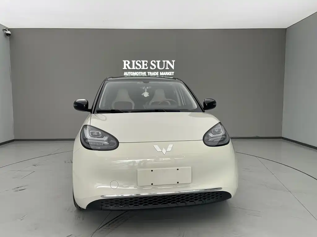 Wuling Binguo 2025 333km Enjoy