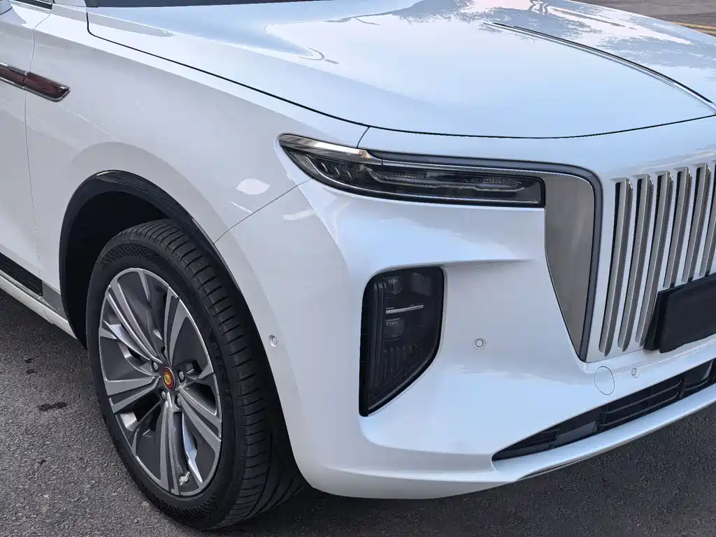 Hongqi Hongqi E-HS9 — миниатюра 5