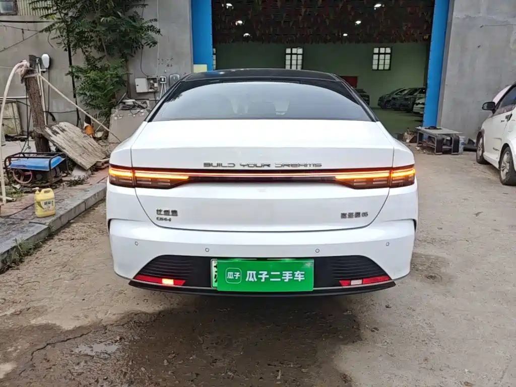 BYD Destroyer 05 — миниатюра 6