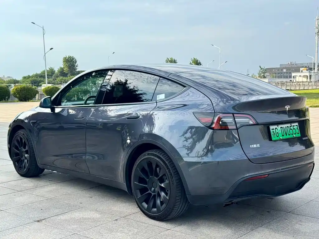 Tesla Model Y — миниатюра 9