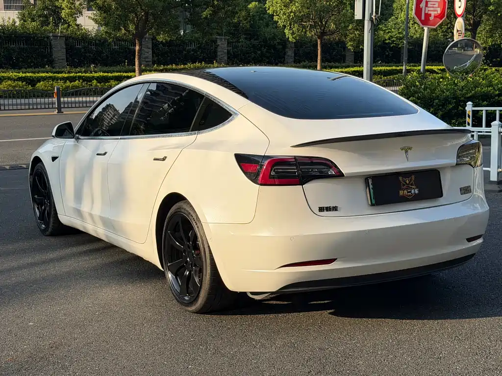 Tesla Model 3 — миниатюра 4