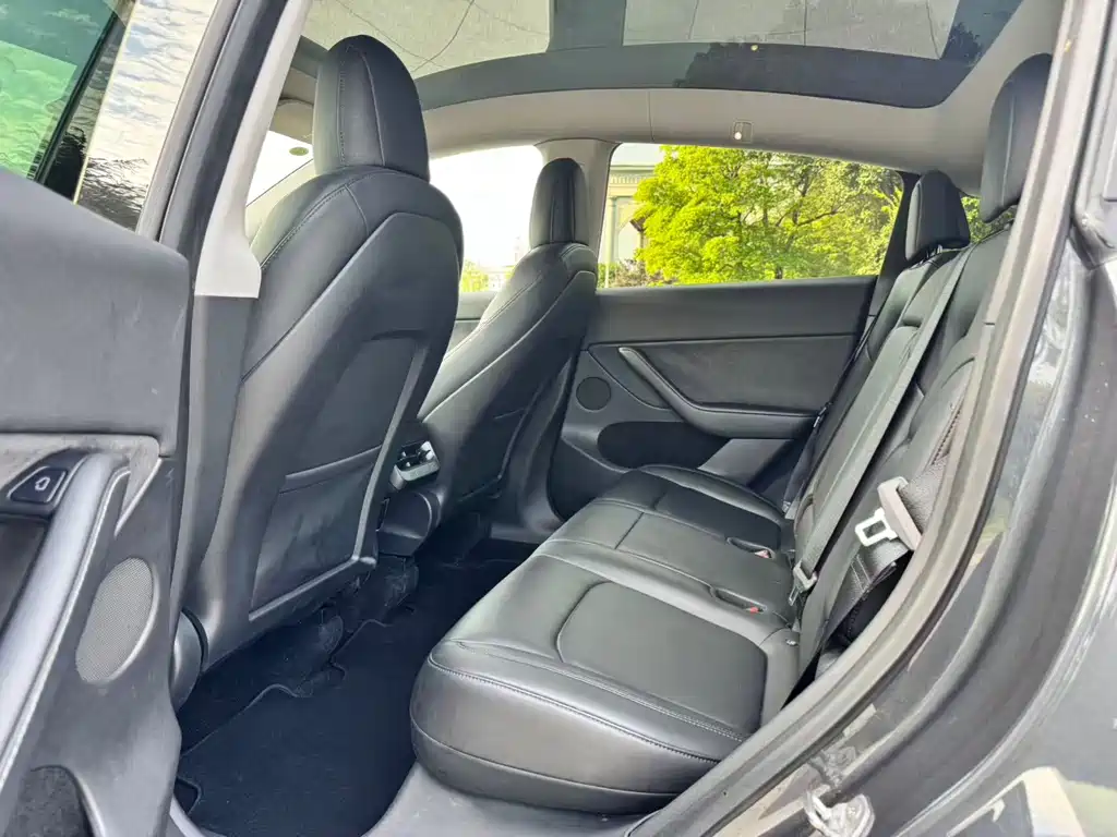 Tesla Model Y — миниатюра 5