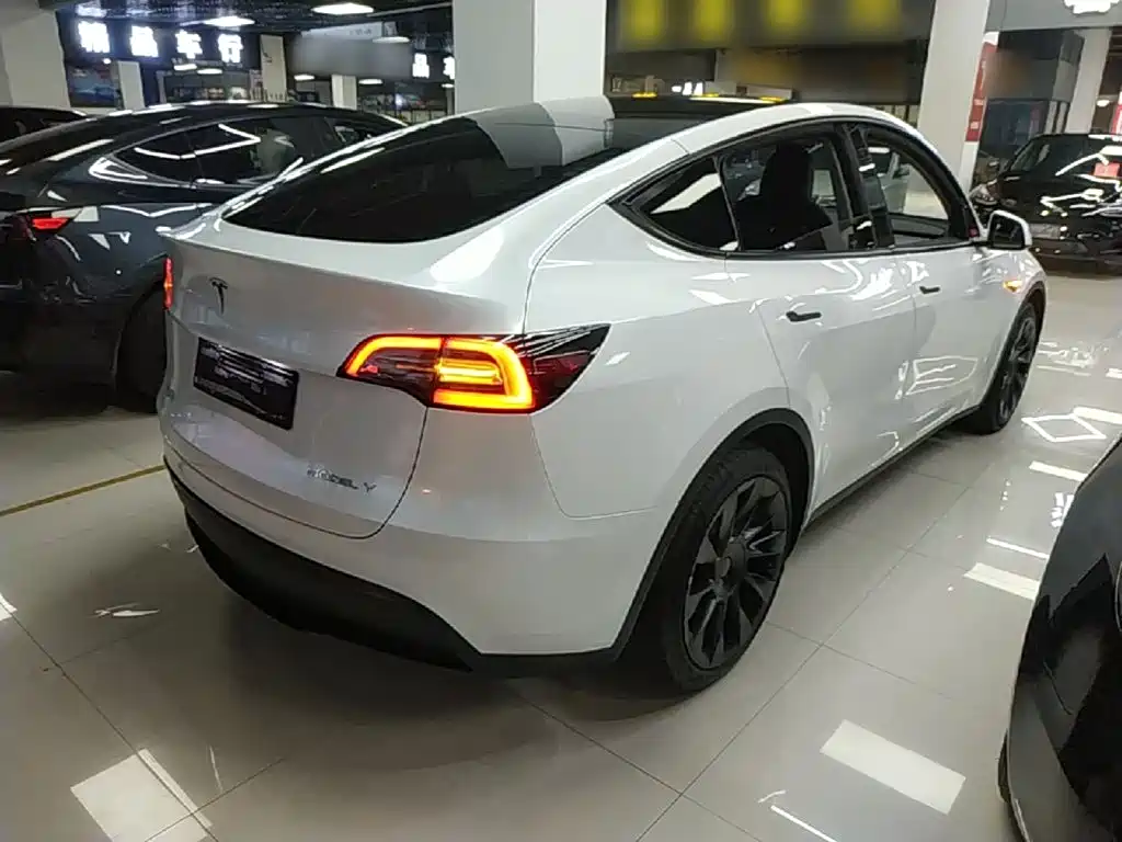 Tesla Model Y — миниатюра 7