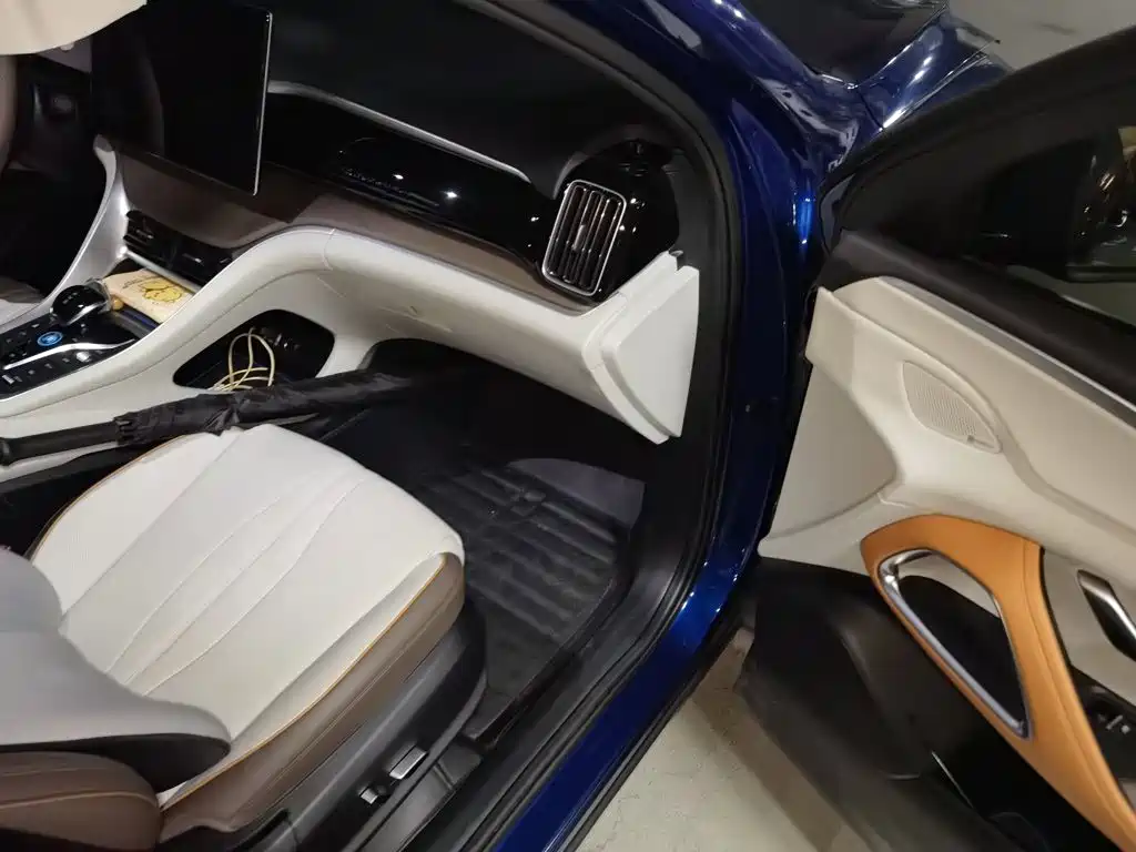 BYD Pro New Energy — миниатюра 20