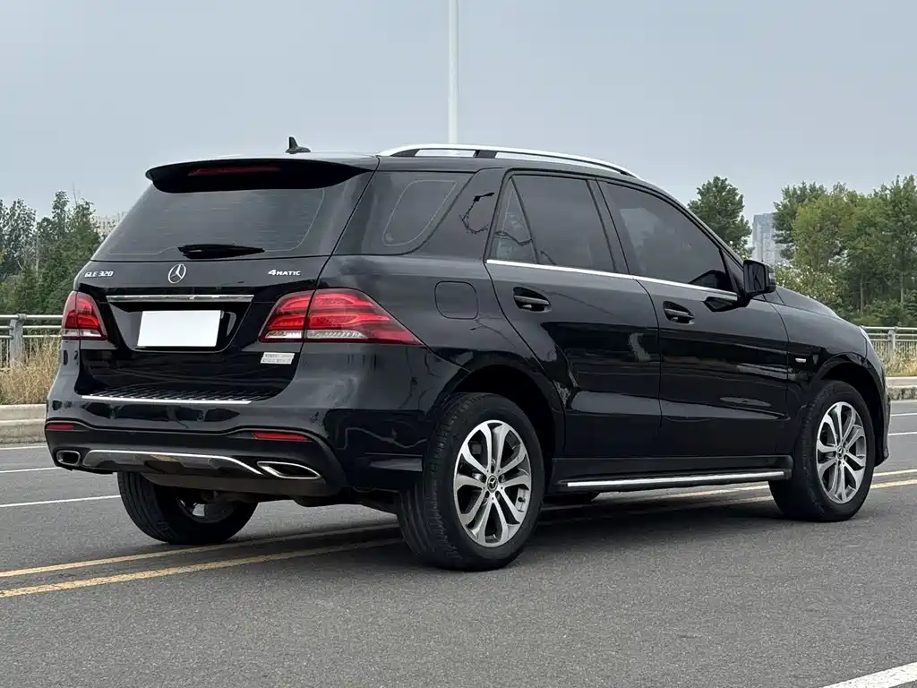 Mercedes-Benz GLE 2019 GLE 320 4MATIC