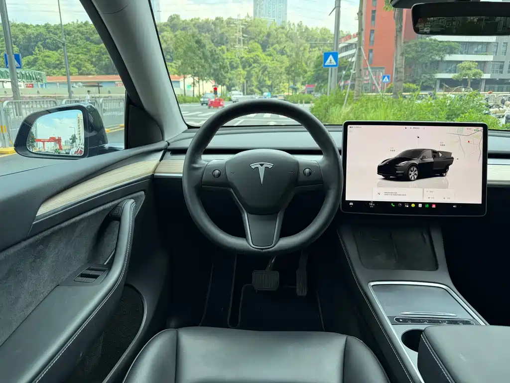 Tesla Model Y — миниатюра 10