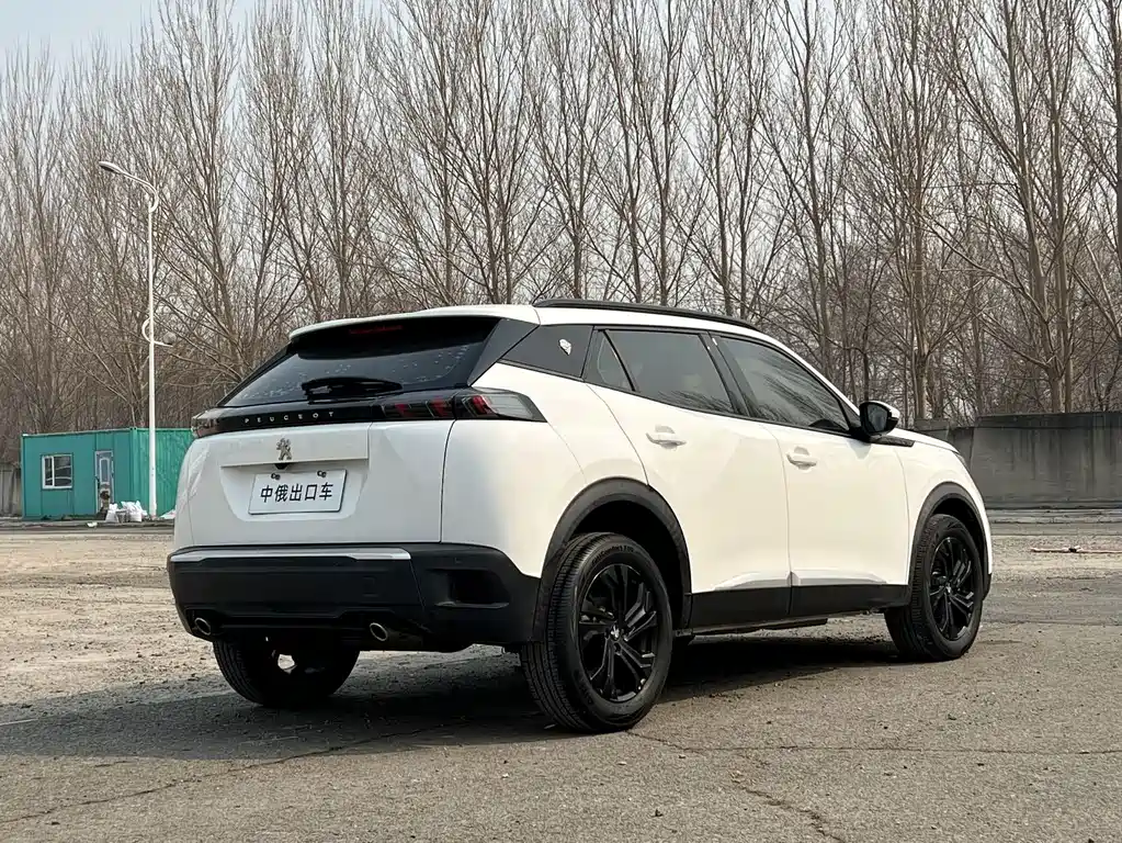Peugeot 2008 — миниатюра 4