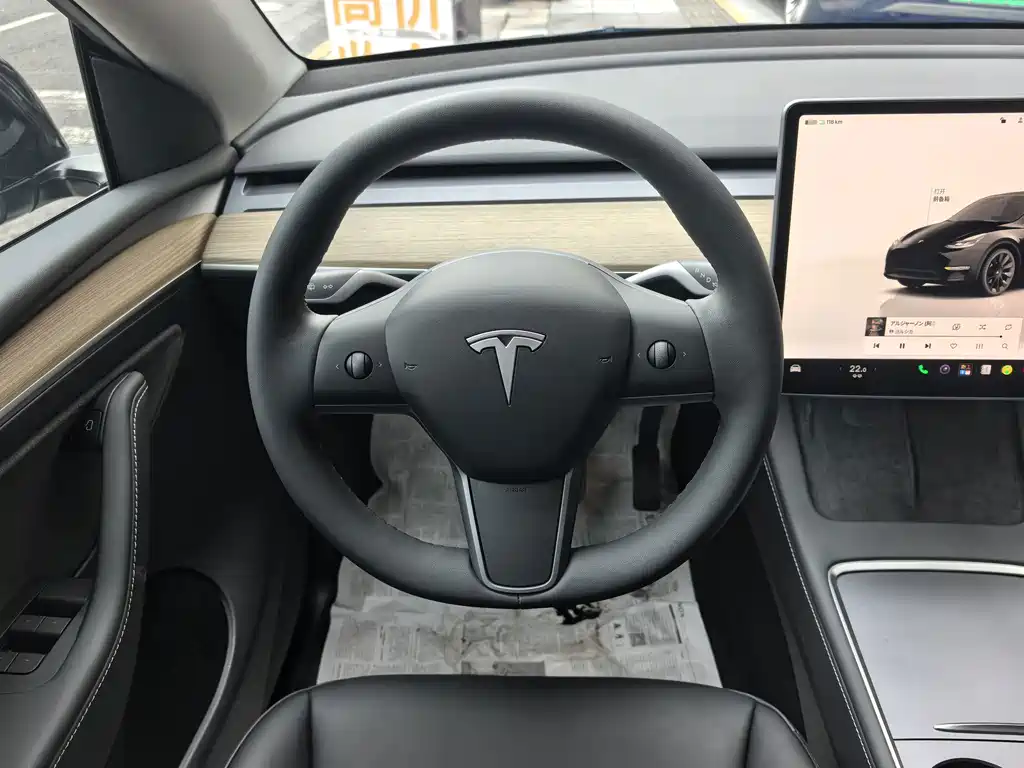 Tesla Model Y — миниатюра 13