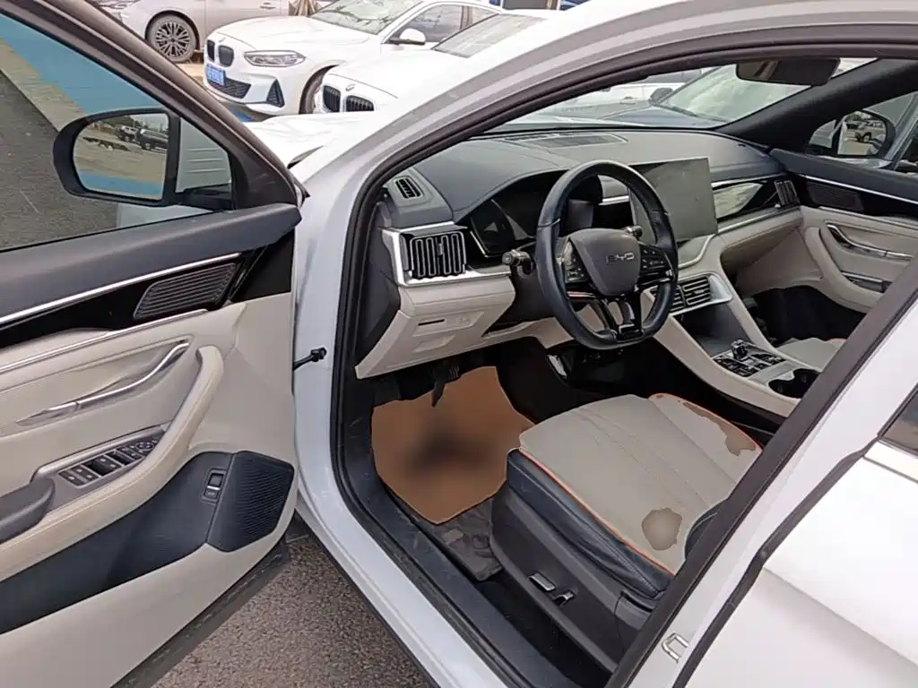 BYD PLUS New Energy — миниатюра 16