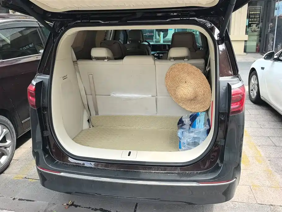 Buick GL8 2023 Avenir мест