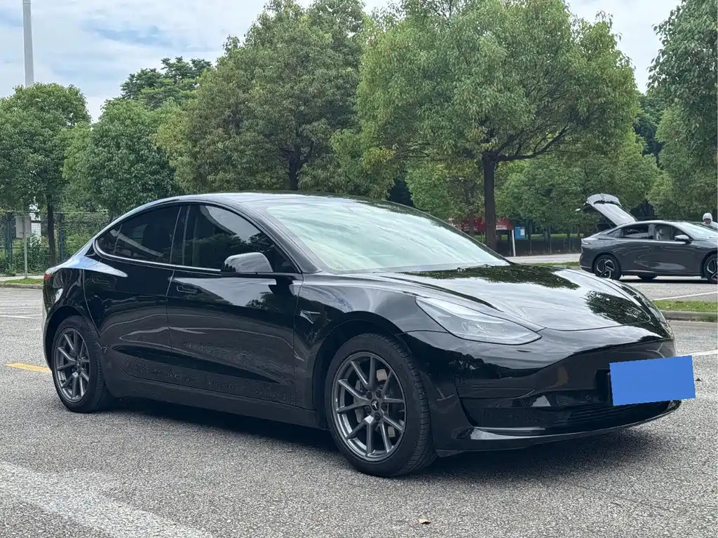 Tesla Model 3 — миниатюра 3