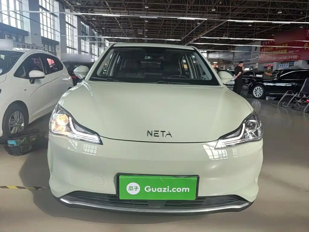 Neta Neta V — миниатюра 3