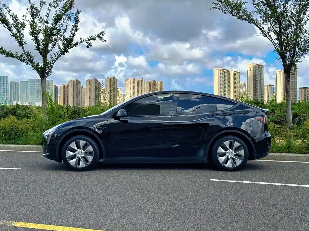 Tesla Model Y — миниатюра 3