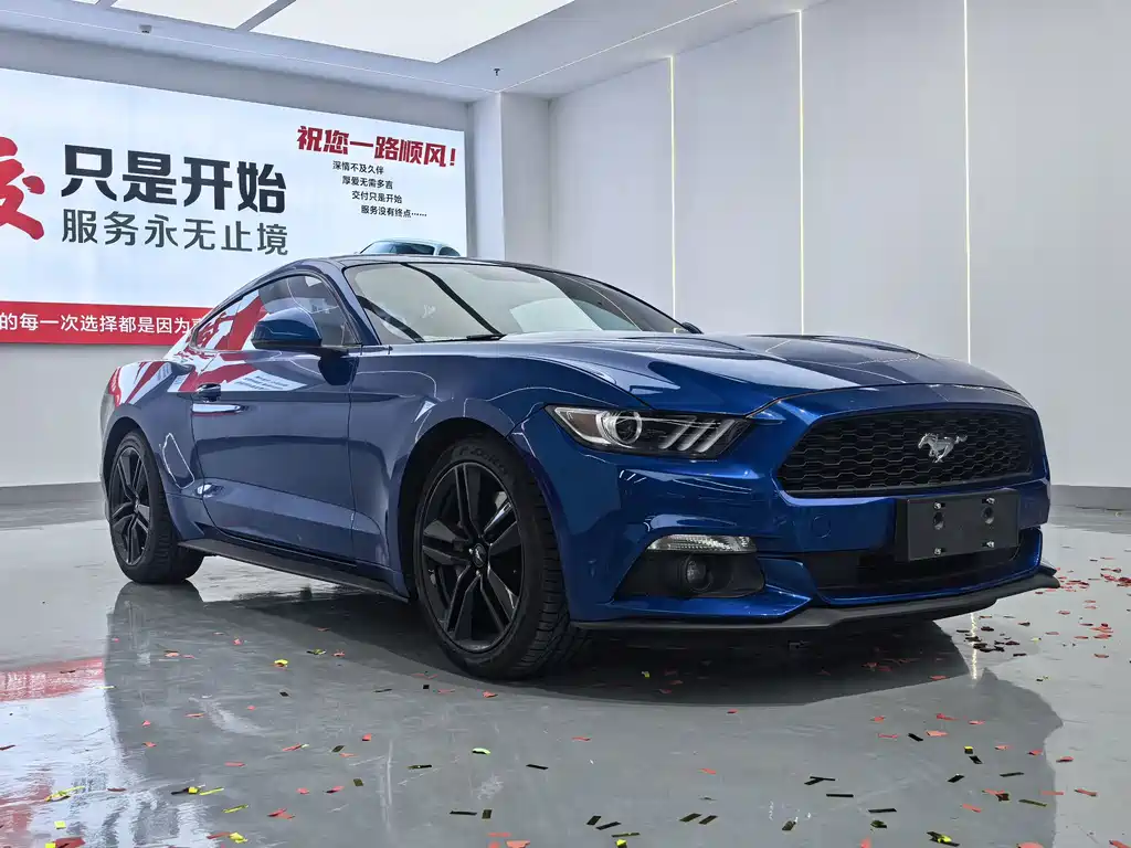 Ford Mustang — миниатюра 3