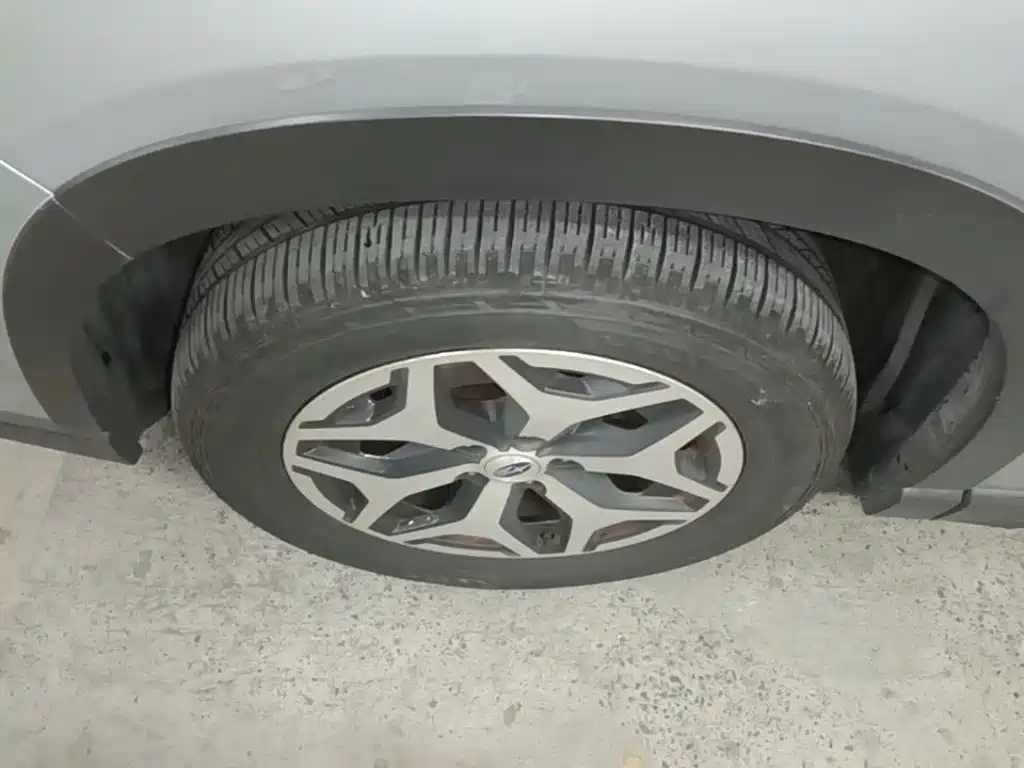 Subaru Forester — миниатюра 23