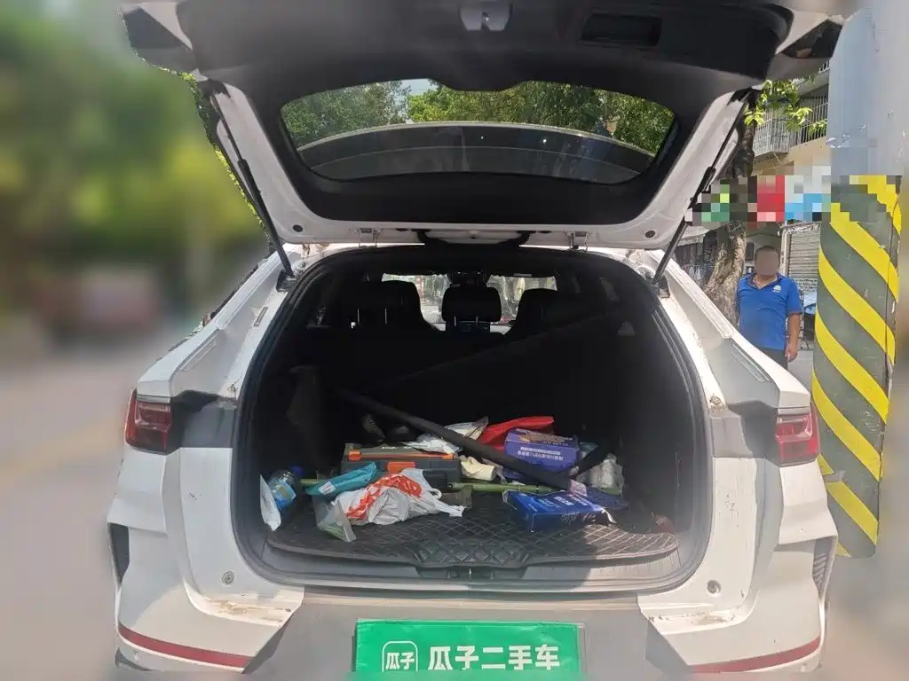 BYD PLUS — миниатюра 15