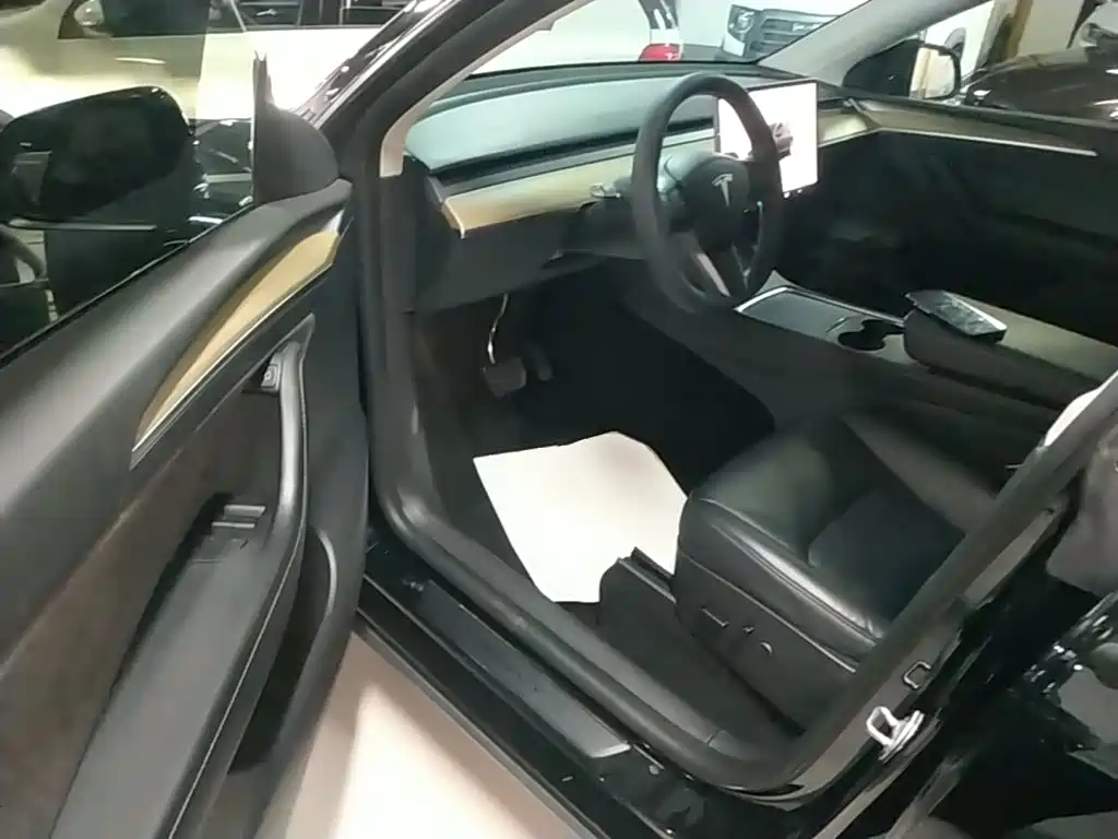Tesla Model Y — миниатюра 16