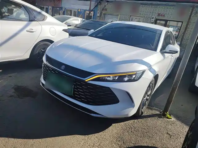 BYD QIN L 2024