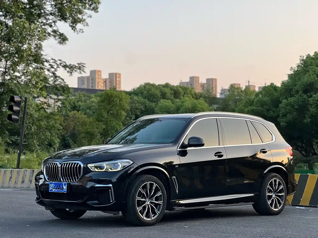 Купить BMW X5