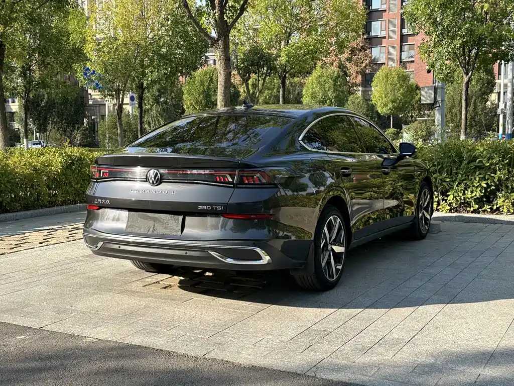 Volkswagen Lamando — миниатюра 4