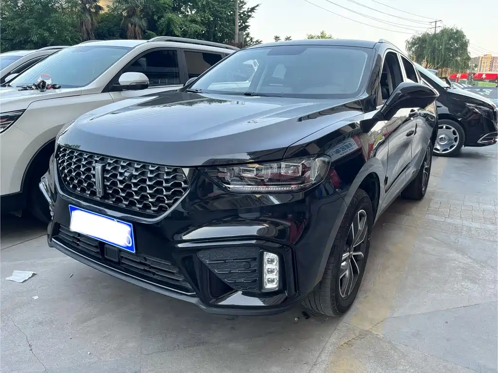 Wey Wey VV5 2020