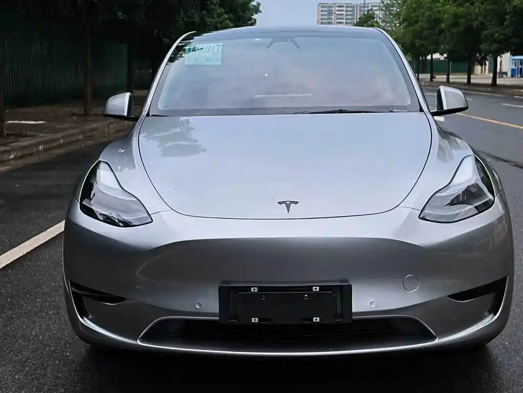 Tesla Model Y — миниатюра 2