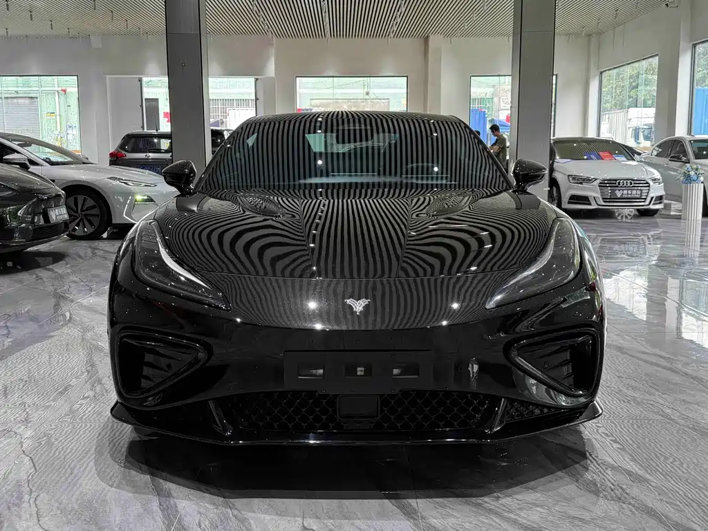 Neta Neta GT — миниатюра 28