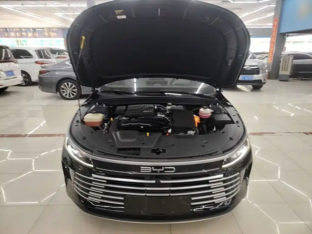 BYD Destroyer 05 — миниатюра 20