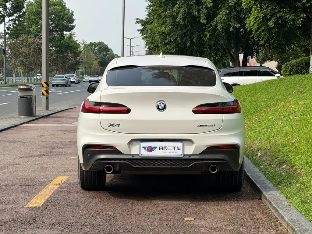 BMW X4 — миниатюра 5