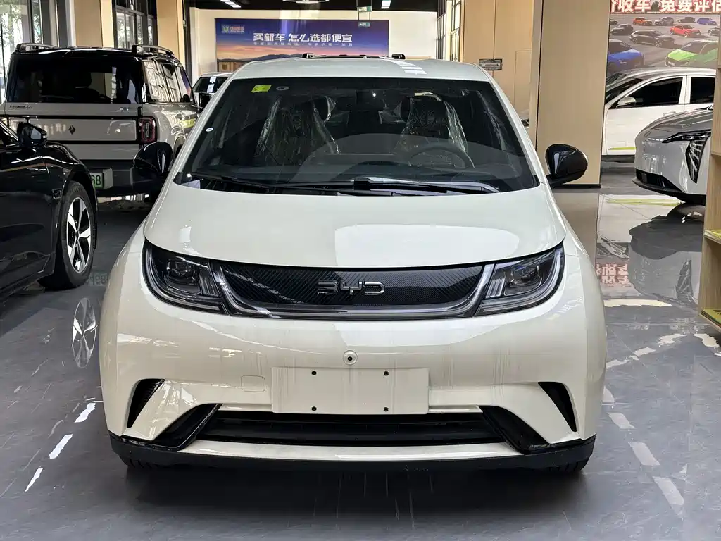BYD Dolphin — миниатюра 2