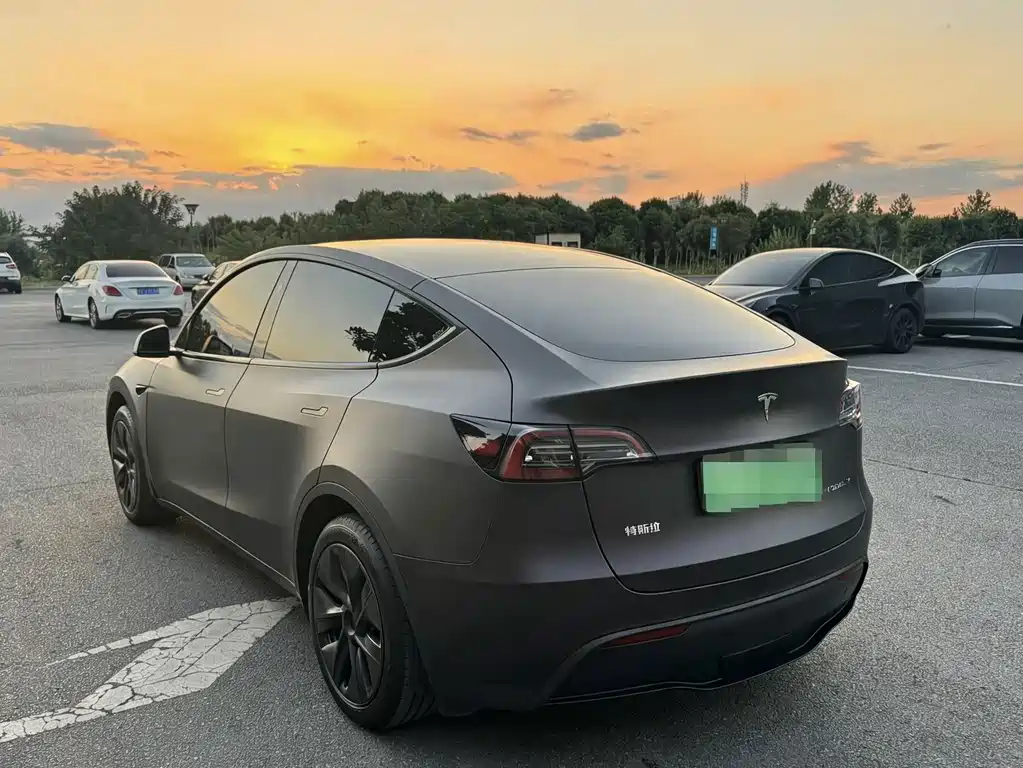 Tesla Model Y — миниатюра 3