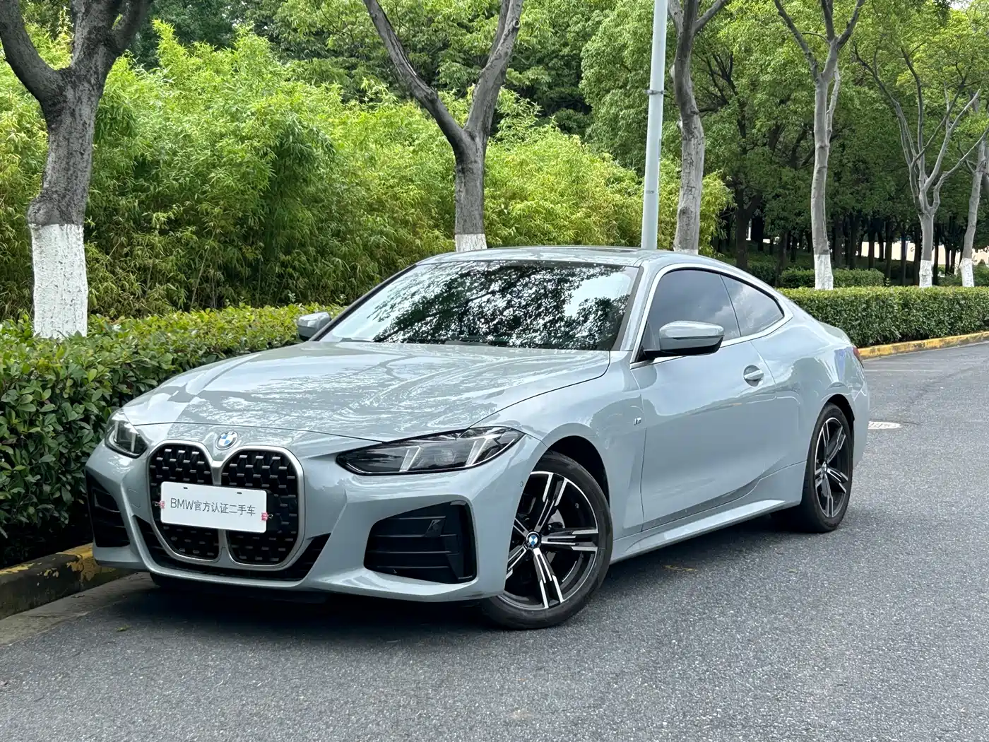 BMW 4 series 2025 Silver/gray из Китая, фото 6